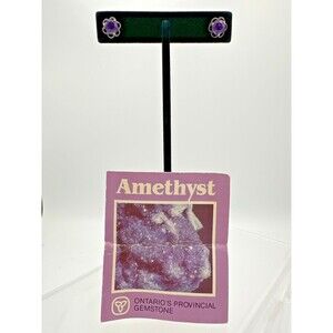 Vintage Amethyst Stud Earrings w/ Info Card – Thunder Bay Ontario
